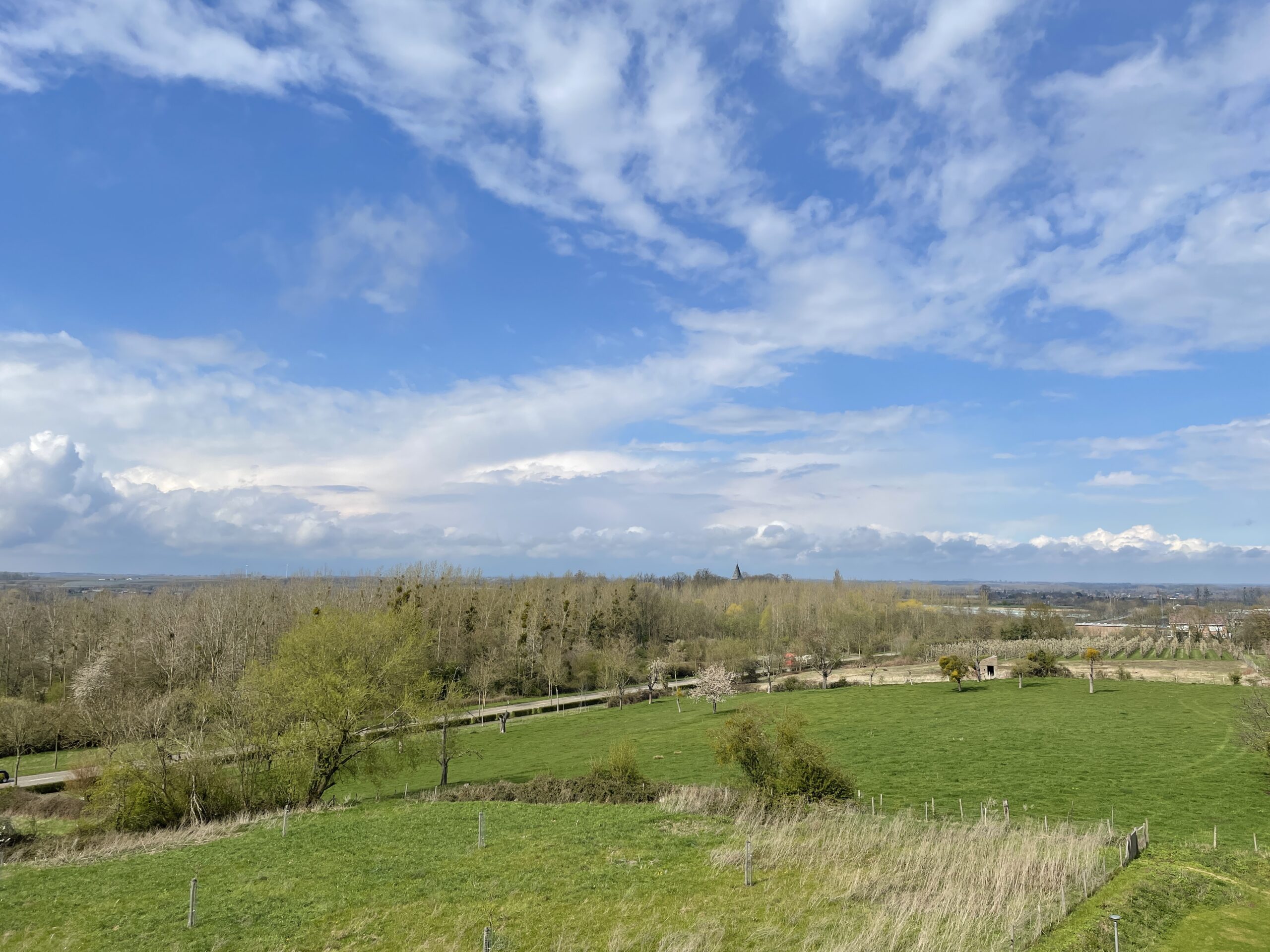 assistentiewoningen orelia puthof tongeren-borgloon uitkijkpunt